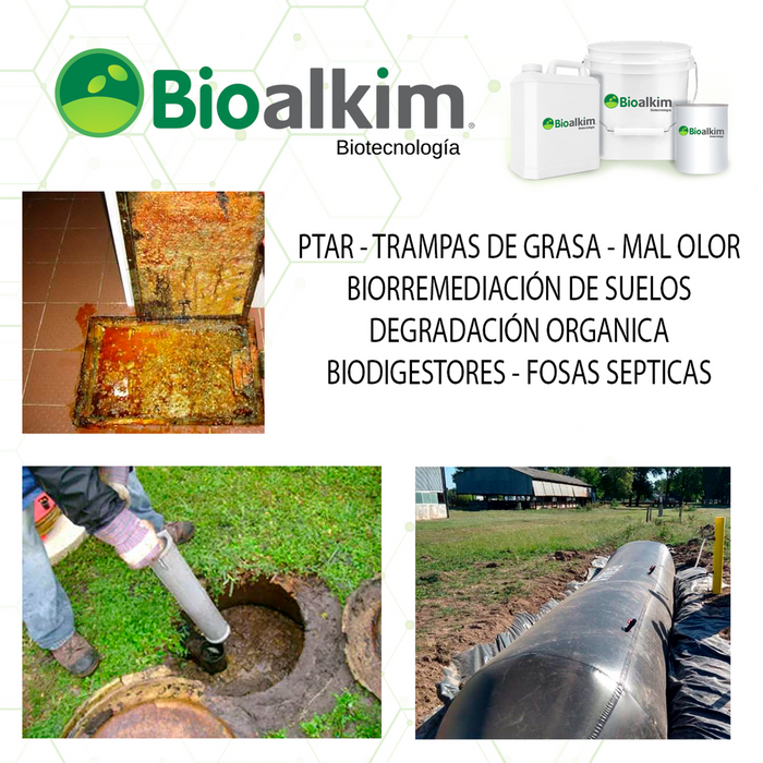 1kl - BIOCUBO BACTERIAS PARA TRAMPAS DE GRASA, MATERIA ORGANICA