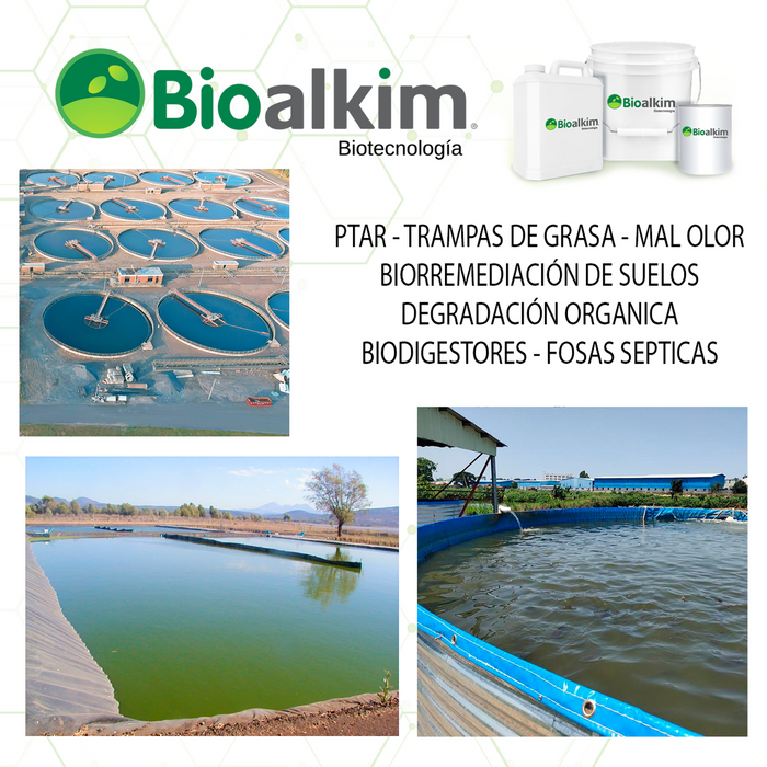 1kl - BIOCUBO BACTERIAS PARA TRAMPAS DE GRASA, MATERIA ORGANICA